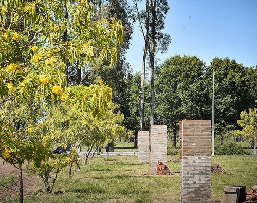 Imagen 9 de 14 de Terreno - Esperanza