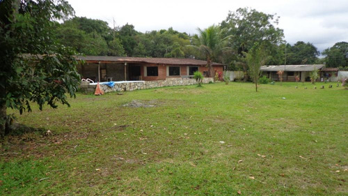 Imagem 8 de 14 de Chácara À 14.000 M² Em Itanhaém. 4625 M H