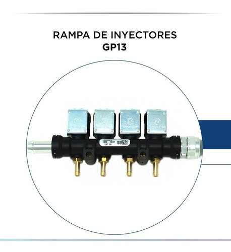 Rampa De Inyectores P37 Gnc Ta Tomasetto Achille