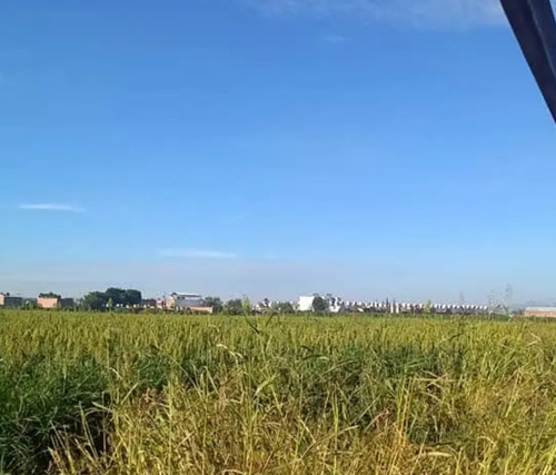 Se Venden 10 Hectáreas Irapuato Gto