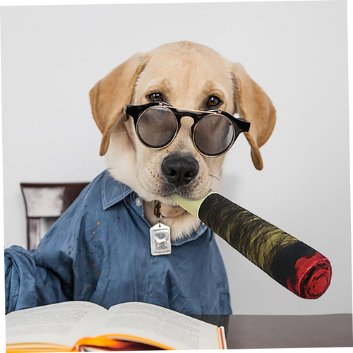 Juguetes Para Perros, Juguetes Para Masticar Con Forma De