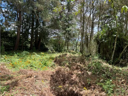 Lote En Venta Rionegro-los Pinos