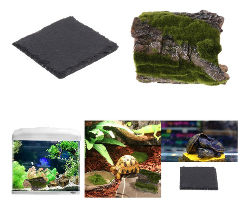 Acuario Adorno Del De Peces Ocultar Cueva Con Tortuga
