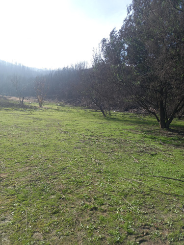 Venta 4 Hectareas Sector Coyanco, Quillón.