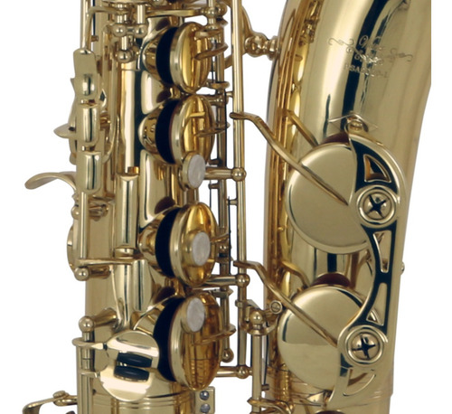 Wesner Psa2000-l Saxofón Alto Tono Eb Mi Bemol Con Estuche
