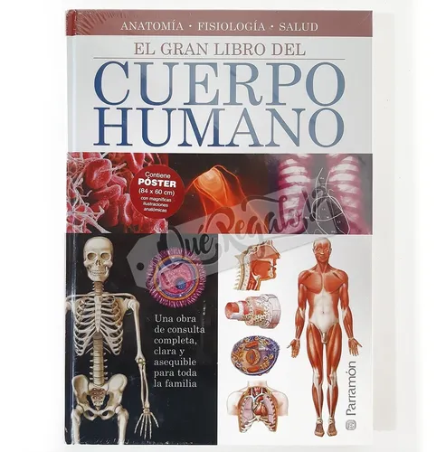 Especialista en neurociencia y fisiología humana, e infatigable divulgador de la neuroeducación.
