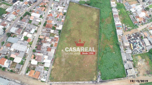 Imagem 21 de 22 de Terreno Industrial À Venda, Novo Mundo, Curitiba - Te0029. - Te0029