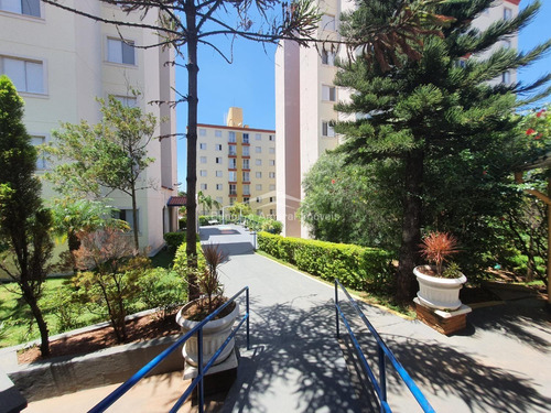 Imagem 30 de 30 de Apartamento À Venda Em Jardim Dos Oliveiras - Ap012844