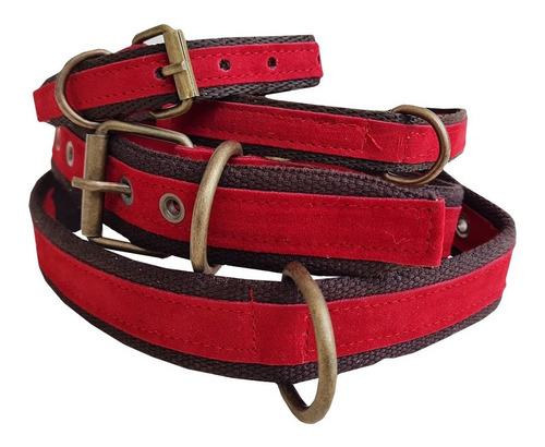 Imagen 7 de 10 de Collar Regulable Para Perro Talle Xl Lola Pets
