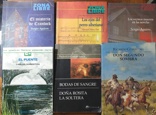 Lote De Libros Usados  