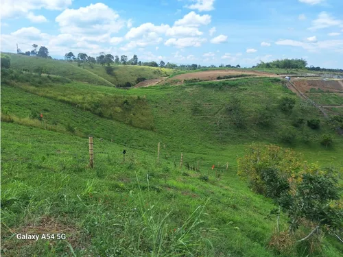 Venta Lotes En Quimbaya -quindío Colombia Cod: 7555717