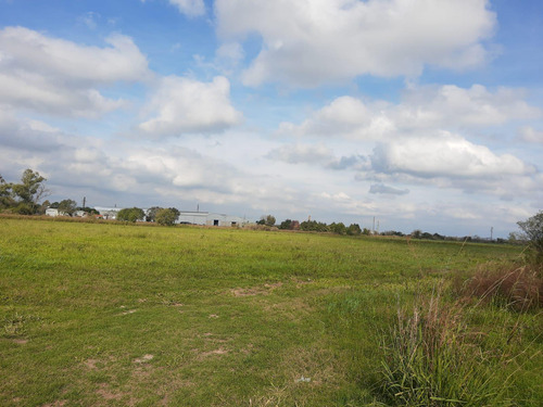 Campo En  Esperanza