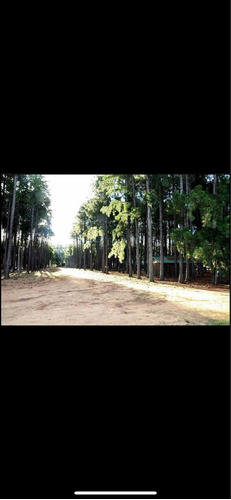 Imagen 5 de 16 de Lote En La Aldea Club De Campo