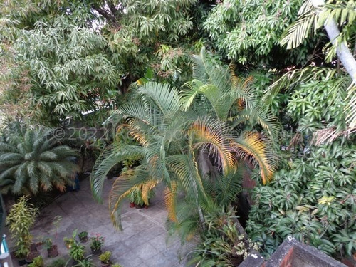 Imagen 7 de 7 de Terreno En Venta En Altamira 22-20240