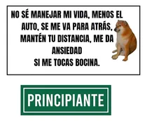 Comprar Calcomanía Vinilo Principiante + Cartel Perrito Auto