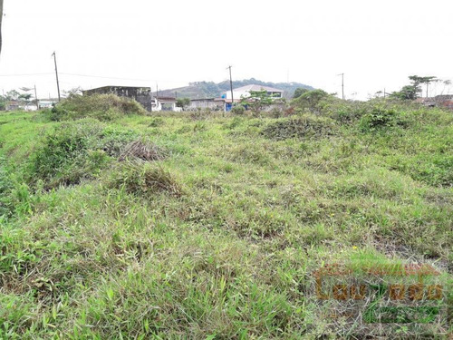 Terreno Para Venda Em Peruíbe, Jardim Somar - 0821_2-436527