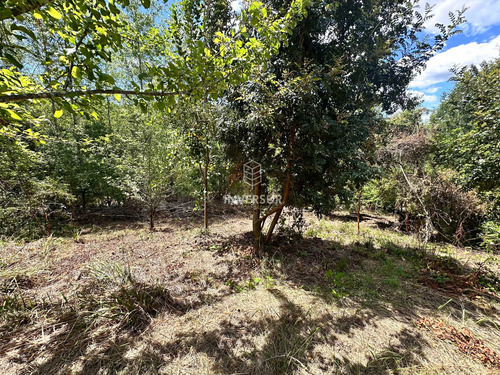 Terreno En Arique Ruta A Valdivia (133760)