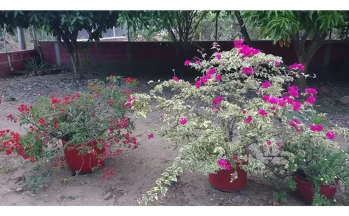Casa Finca De 800m2