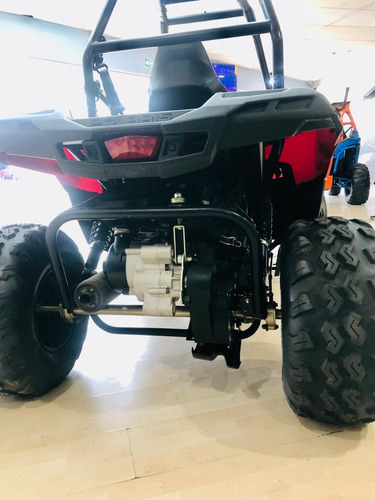 Rzr Polaris Ace 150 2017