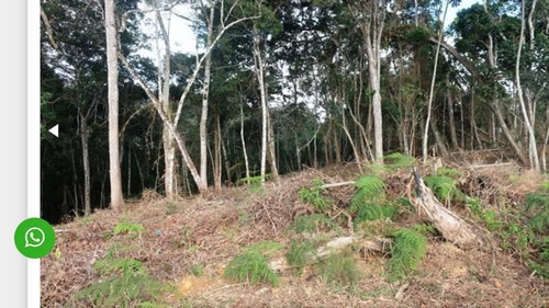 Imagem 2 de 14 de Juquitiba/belo Terreno P/criação/ac/permuta Sp/