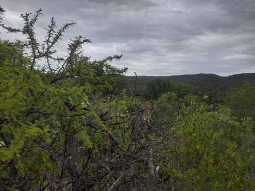 Imagen 5 de 11 de Lotes , Traslasierra-córdoba, Los Hornillos