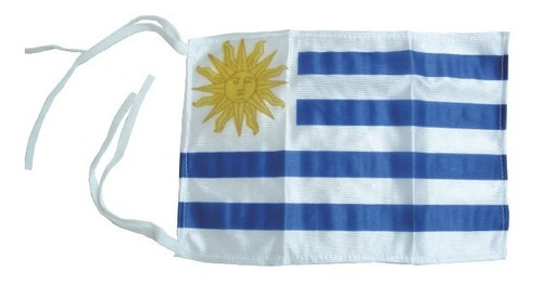Bandera Uruguaya 20x30 Nautico