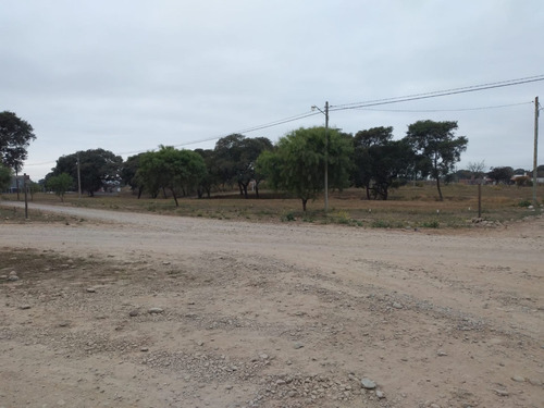 Imagen 3 de 4 de Terreno En Venta Bosque Del Ceibal Ii + 600m2