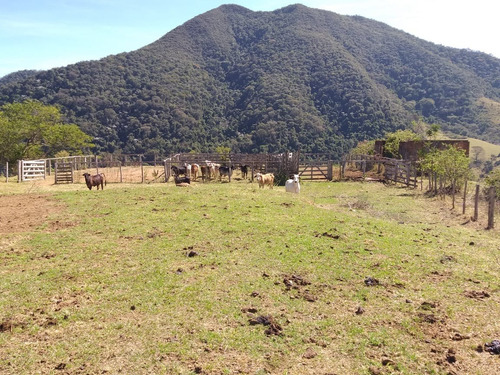 Imagem 5 de 28 de Fazenda 80 Alqueires Sendo 20 Alqueires Mata App, Casa Sede(em Reforma) E Caseiro Agua Nascente Riacho - Fa00019 - 69584449