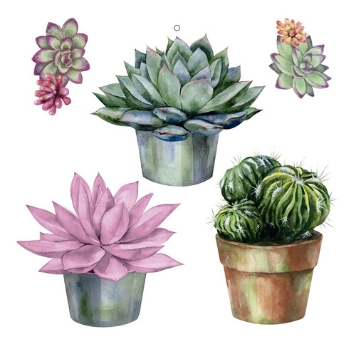 Vinilos Decorativos Cactus Suculentas Plantas Macetas