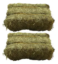 Comprar 20kg Fardo Feno Para Cavalo E Outros Animais Pet Estimação
