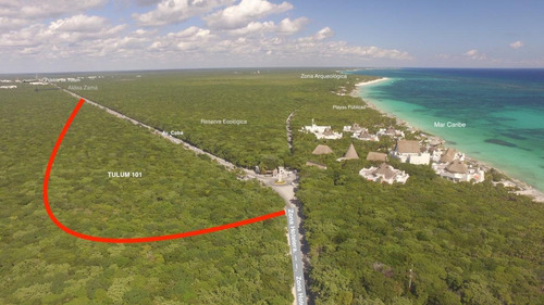 Imagen 1 de 7 de Venta De Lotes En Tulum - Malva 101