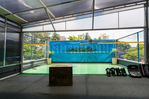 Comercial - Perdizes - Ref: 99248 - V-99248