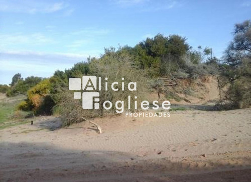 Imagen 2 de 9 de Lotes En Venta Colonia Marina