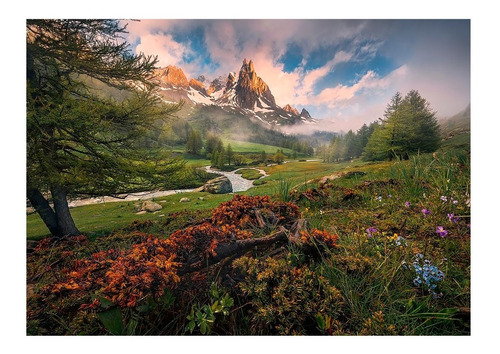 Rompecabezas 1000 Piezas Valle De La Clarée Ravensburger 