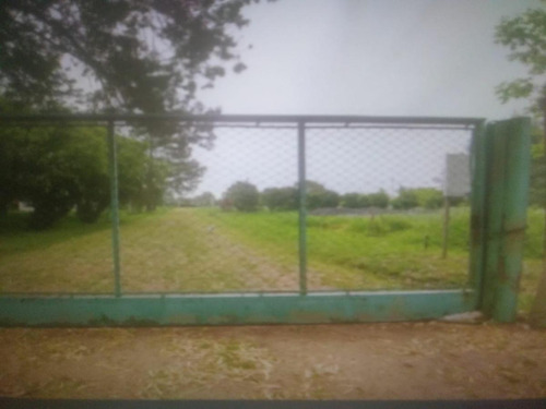 Imagen 3 de 3 de Terreno - Loma Verde