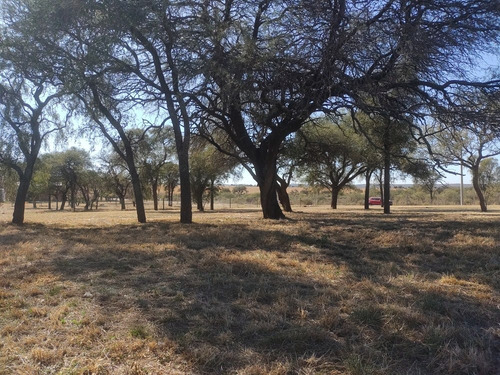 Imagen 2 de 5 de Lote En Venta. Estacion Del Carmen