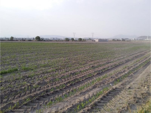 Imagen 2 de 4 de Terreno Comercial En Venta Tizayuca Centro