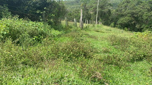 Imagem 14 de 20 de L06- Terreno De 45 Mil A Vista
