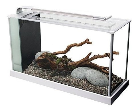 Kit De Acuario Fluval Spec V, 5 Galones.