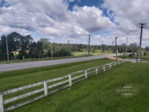 Imagen 17 de 28 de Terreno Barrio Privado 7414 Mts Camino De Los Horneros- Countrie Quinta De Los Horneros