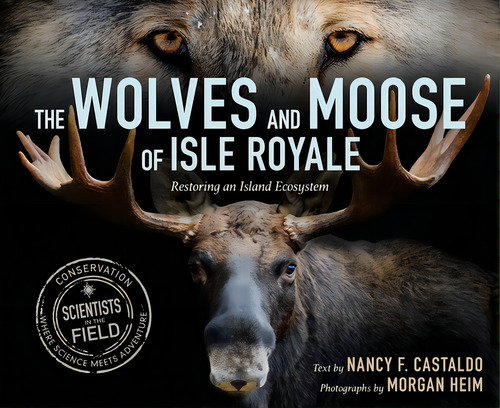 The Wolves And Moose Of Isle Royale: Restoring An Island Ecosystem, De Castaldo, Nancy F.. Editorial Clarion Books, Tapa Dura En Inglés