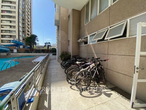 Central Departamento En Viña Del Mar