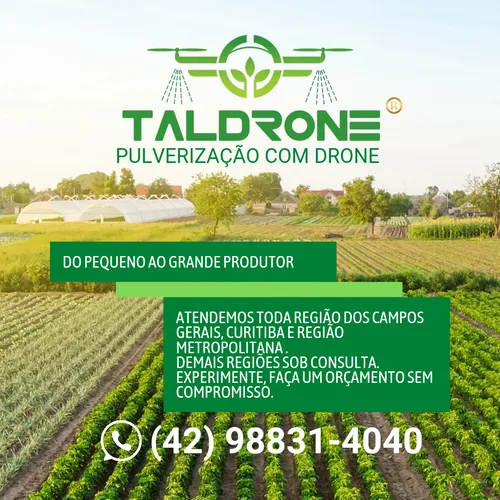 Pulverização Com Drone