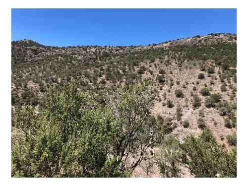 Imagen 1 de 7 de Se Vende Terreno Nonoava, Chihuahua