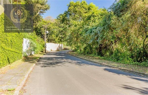 Imagem 7 de 10 de Terreno À Venda, 1122 M² Por R$ 397.000 - Teresópolis - Porto Alegre/rs - Te0203