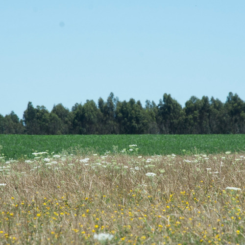 Venta Chacras - Tajamares Eco Chacras De 3 Hectáreas - Ruta 8 Y 11 Atlántida, Canelones