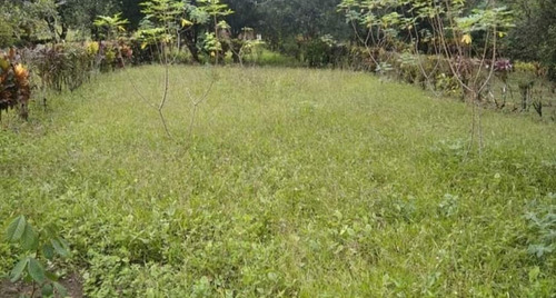 Terreno De Venta En Puerto Quito
