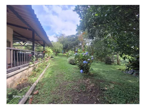 Venta Finca Circasia Quindio. Colombia Cod: 8481169