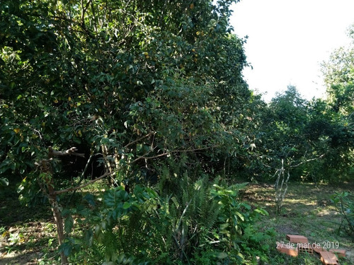 Terreno Para Venda, 622.5 M2, Guaratiba - Rio De Janeiro - 734
