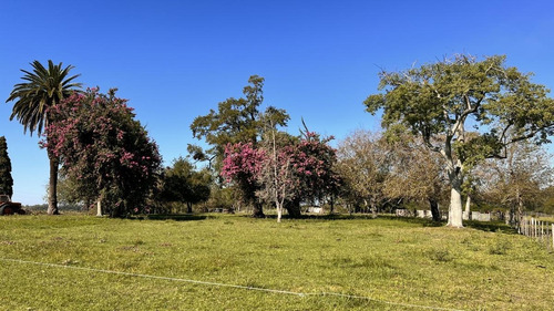 Imagen 14 de 30 de Campo Sobre Autopista Ruta 14 Colón Entre Ríos